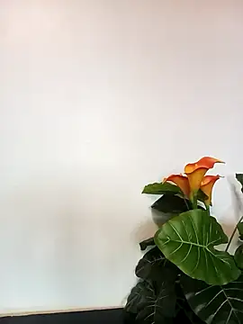 JemaimaPrincess online show from 03/21/25, 11:22