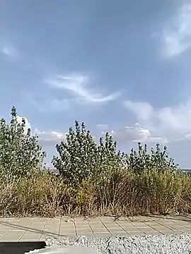 cuplubijoanna online show from 09/20/25, 04:52