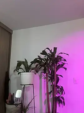 Snapshot of rossth1 chatting on 09/12/25, 03:23 rossth1 online show from 09/12/25, 03:23