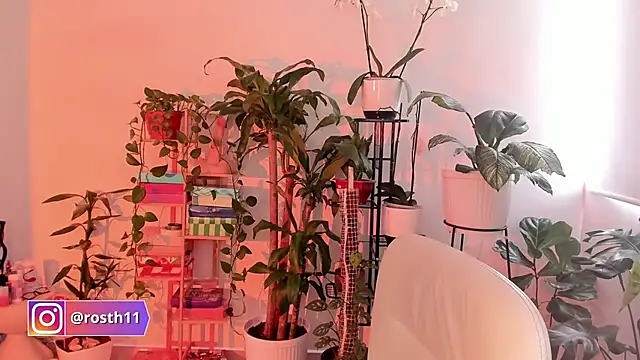 Snapshot of rossth1 chatting on 10/24/25, 07:43 rossth1 online show from 10/24/25, 07:43