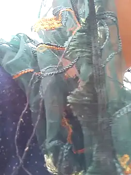 Snapshot of Simaran_bhabhi chatting on 03/16/25, 04:09 Simaran bhabhi online show from 03/16/25, 04:09