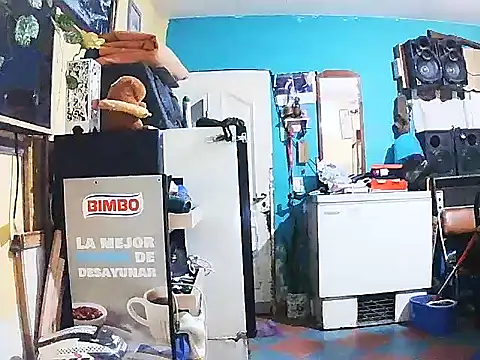 DiAntool online show from 01/18/26, 05:44