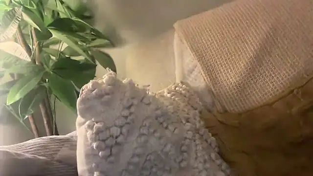 toptugger online show from 10/17/25, 07:27