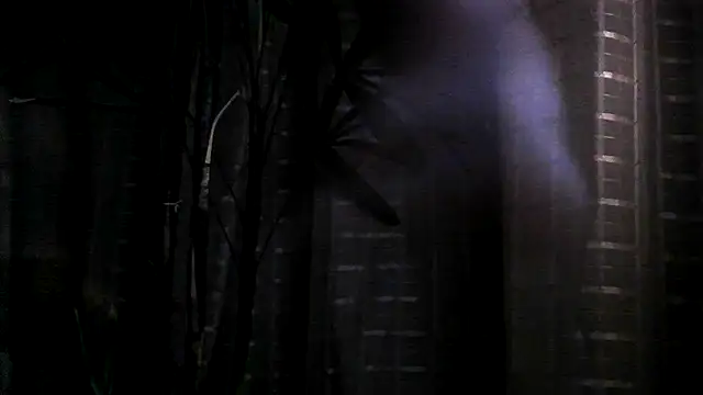 Snapshot of funguybr36 chatting on 09/19/25, 11:00 funguybr36 online show from 09/19/25, 11:00