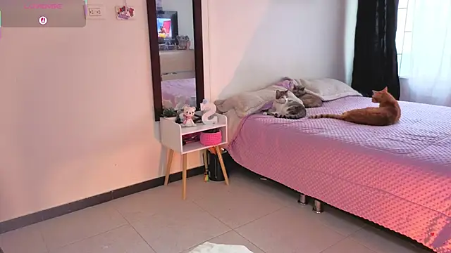 serenna se online show from 03/31/26, 08:31