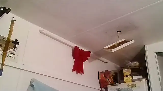 Snapshot of allissonw13 chatting on 01/25/25, 04:23 allissonw13 online show from 01/25/25, 04:23