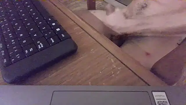 nicolaaaaas online show from 02/14/25, 04:58