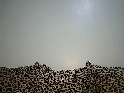 Toxique  online show from 12/19/25, 03:30