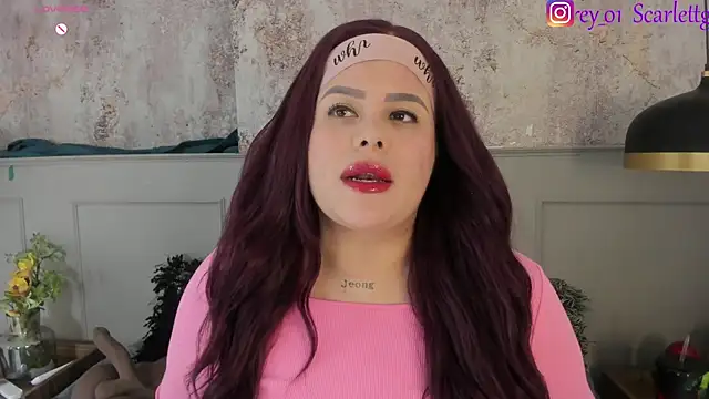 Snapshot of Scarlett_grey1 chatting on 12/28/24, 05:33 Scarlett grey1 online show from 12/28/24, 05:33