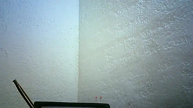 Snapshot of Bellabeltrann chatting on 11/30/25, 11:42 Bellabeltrann online show from 11/30/25, 11:42