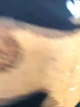 martinna tay online show from 03/01/26, 03:19