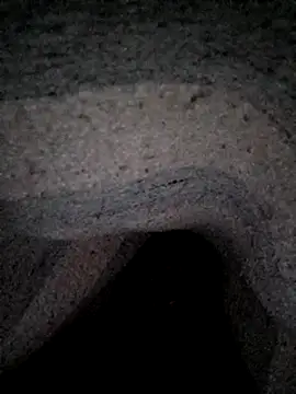 Janle 19c online show from 12/26/24, 03:27