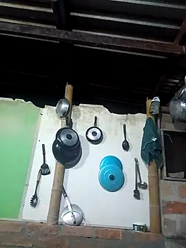 Janle 19c online show from 01/02/25, 11:27