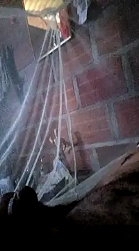 Janle 19c online show from 01/07/25, 07:06