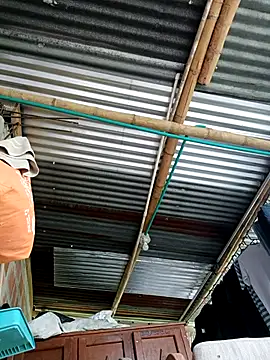 Janle 19c online show from 09/14/25, 08:08