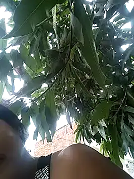 Berry Bans online show from 03/13/25, 08:32