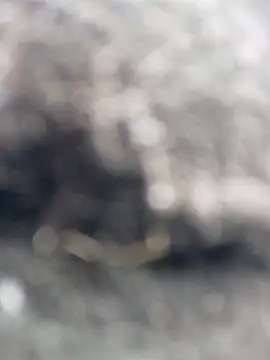  andrea30 online show from 10/30/25, 12:06