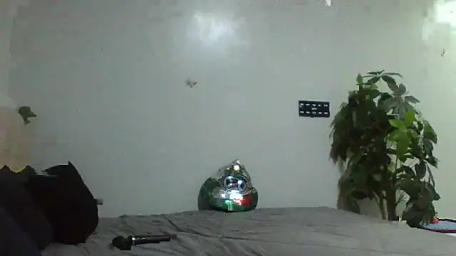 SquirtQueen222 online show from 07/22/26, 04:32
