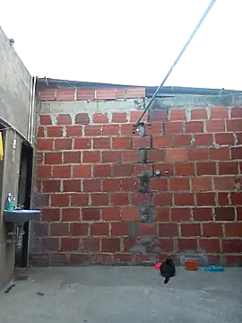 ariana d20 online show from 03/11/25, 10:53