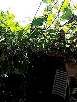 Putaepirocudo online show from 04/14/26, 12:55