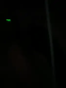 dimitriei online show from 01/05/25, 08:54