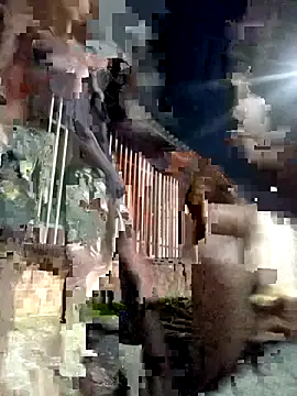 Gutierrez6383 online show from 04/21/26, 04:52