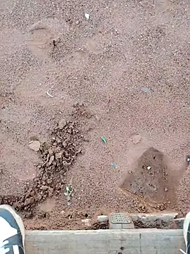 TornadoStorm35 online show from 03/30/26, 01:56