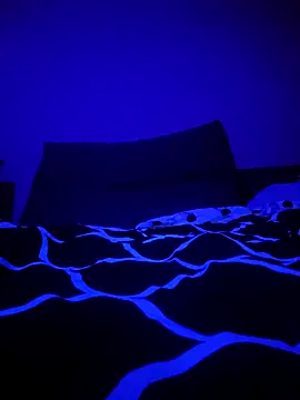 McdyllanXX online show from 01/11/25, 01:06