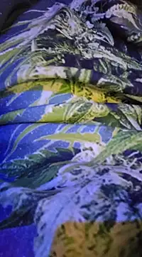 Snapshot of McdyllanXX chatting on 02/13/25, 12:24 McdyllanXX online show from 02/13/25, 12:24