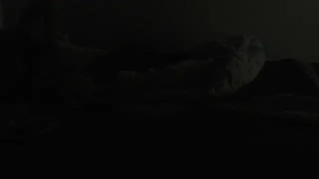 Snapshot of flexingplexico chatting on 01/06/25, 07:13 flexingplexico online show from 01/06/25, 07:13