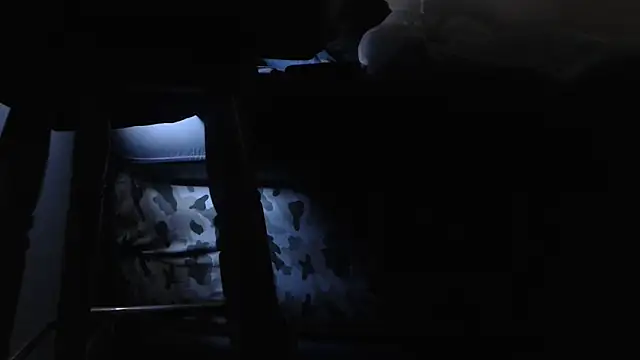 Snapshot of flexingplexico chatting on 01/29/25, 06:18 flexingplexico online show from 01/29/25, 06:18