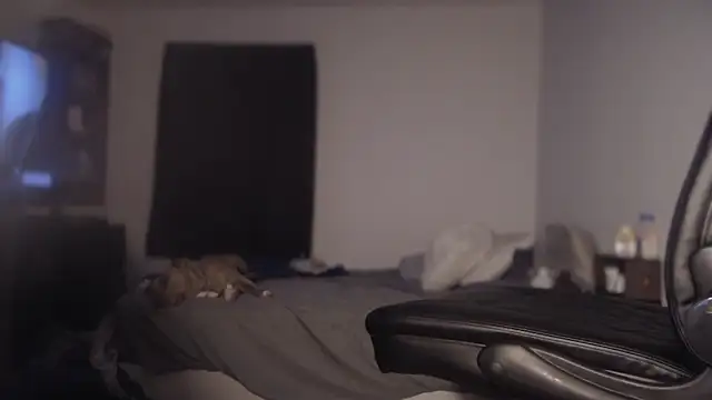 Snapshot of flexingplexico chatting on 03/01/25, 11:17 flexingplexico online show from 03/01/25, 11:17