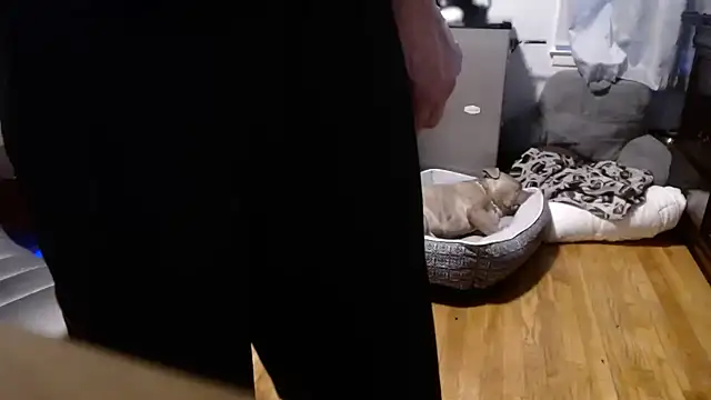 flexingplexico online show from 02/16/26, 10:50