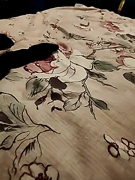 bigboobyrush online show from 04/17/26, 08:01