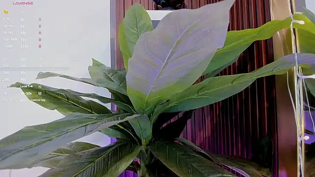 Snapshot of Anybuny chatting on 01/20/25, 11:35 Anybuny online show from 01/20/25, 11:35