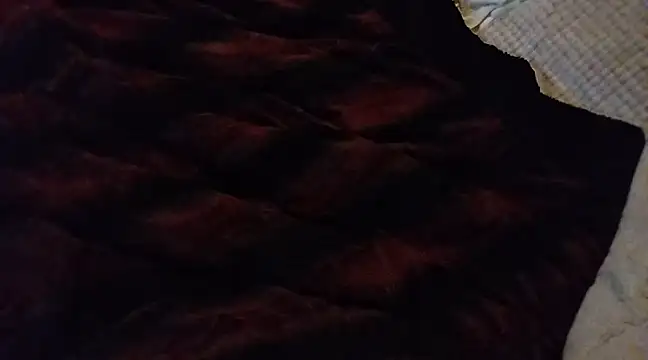 Snapshot of BushBator chatting on 03/04/25, 06:29 BushBator online show from 03/04/25, 06:29