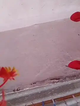 Snapshot of HOTDEEKCHA chatting on 03/15/25, 08:58 HOTDEEKCHA online show from 03/15/25, 08:58