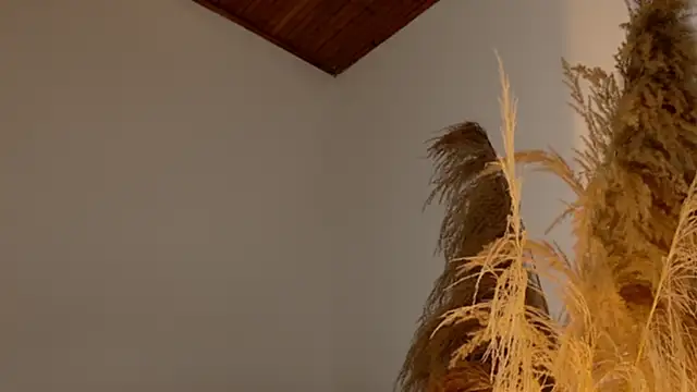 SaraFerreira online show from 12/12/24, 11:47