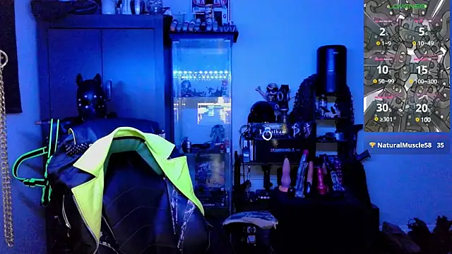 samaelO69 online show from 12/29/24, 06:35