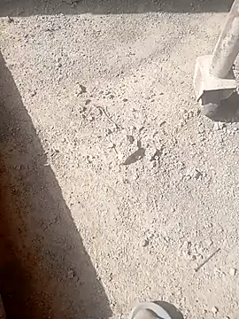 Snapshot of Kurtsikici@xh chatting on 10/21/25, 09:32 Kurtsikicixh online show from 10/21/25, 09:32