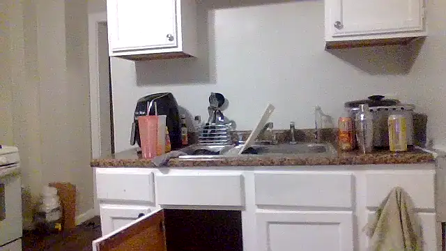 AllLeggs online show from 12/31/24, 11:09