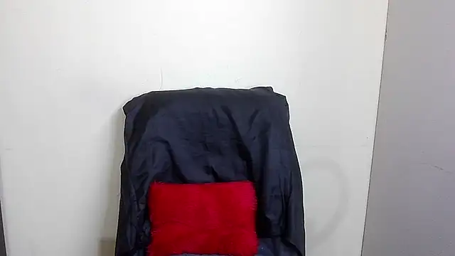 Snapshot of Xingfei chatting on 02/13/25, 10:22 Xingfei online show from 02/13/25, 10:22