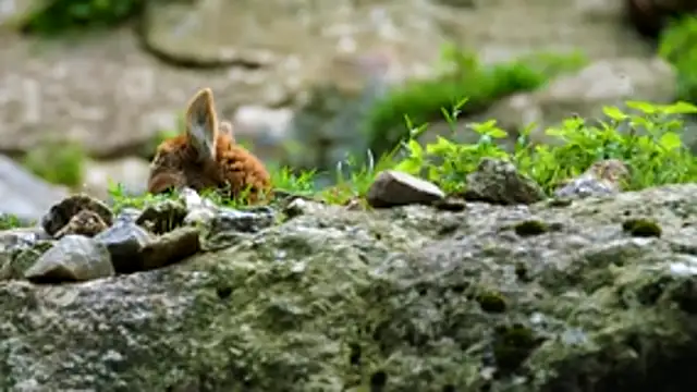 Snapshot of streamy_test13 chatting on 11/24/25, 12:27 streamy test13 online show from 11/24/25, 12:27