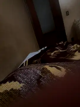 bigboy30X online show from 10/21/25, 02:51