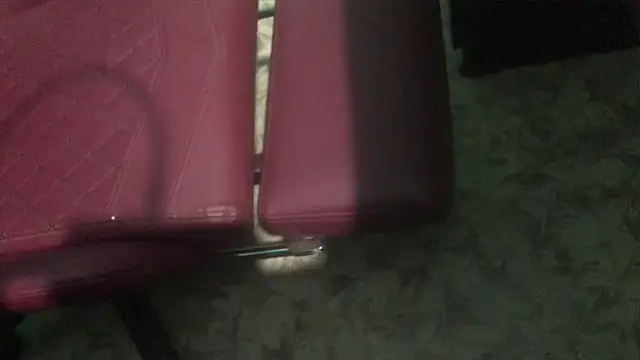 telugu boy  online show from 02/07/25, 01:11