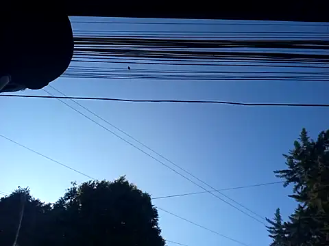 weedmanhot28 online show from 01/30/25, 12:48