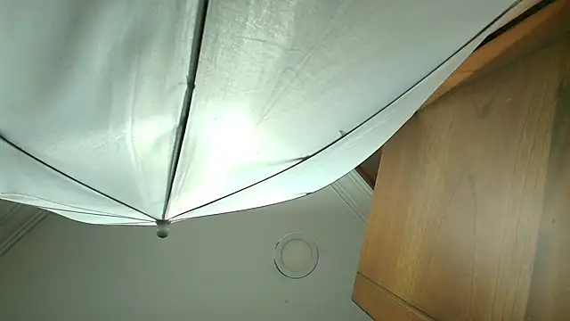 stella xue online show from 03/19/25, 08:22