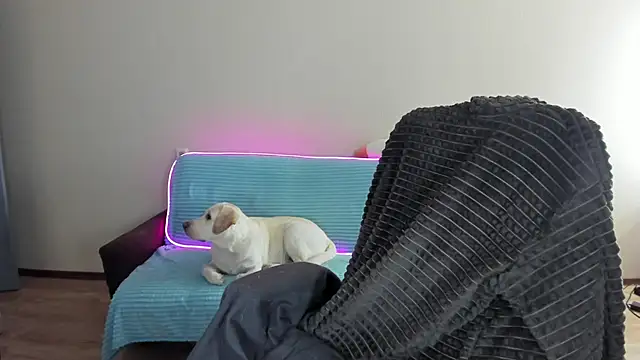 Liam sexy1 online show from 12/20/24, 08:06