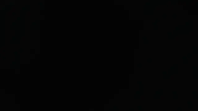 Liaroberts1 online show from 01/24/25, 12:10