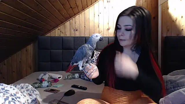 Snapshot of BoeseMoni1998 chatting on 02/22/25, 05:55 BoeseMoni1998 online show from 02/22/25, 05:55